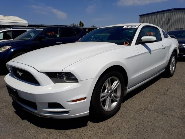 Photo 1 VIN: 1ZVBP8AM3E5334728 - FORD MUSTANG 