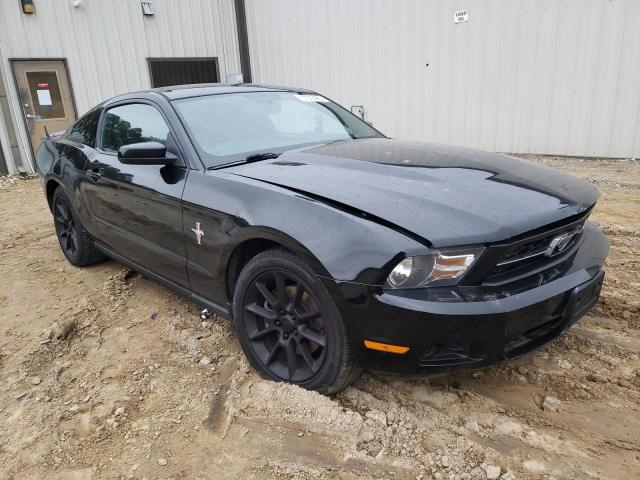 Photo 3 VIN: 1ZVBP8AM4B5102831 - FORD MUSTANG 