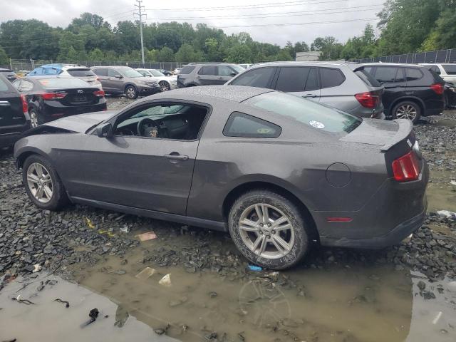 Photo 1 VIN: 1ZVBP8AM4B5114557 - FORD MUSTANG 