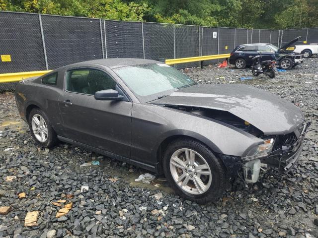 Photo 3 VIN: 1ZVBP8AM4B5114557 - FORD MUSTANG 