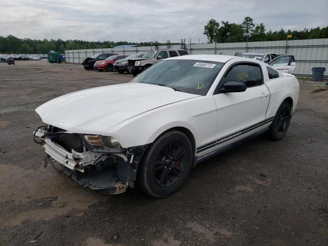 Photo 1 VIN: 1ZVBP8AM4B5119452 - FORD MUSTANG 