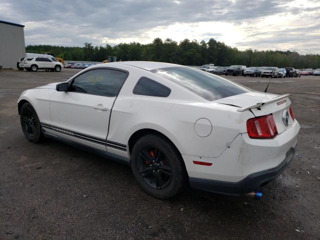 Photo 2 VIN: 1ZVBP8AM4B5119452 - FORD MUSTANG 