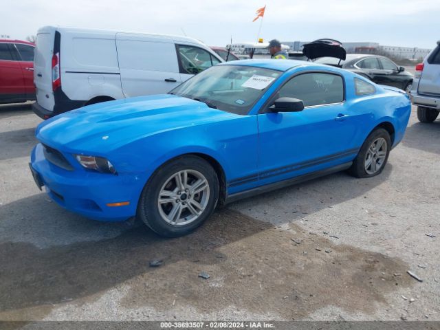 Photo 1 VIN: 1ZVBP8AM4B5138700 - FORD MUSTANG 