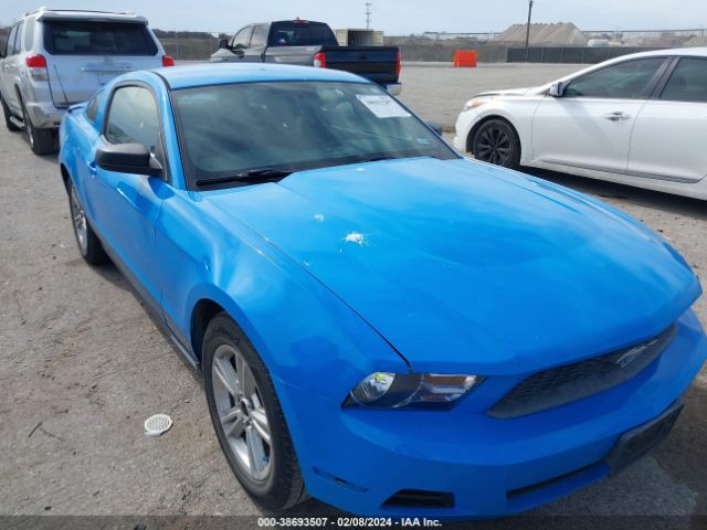 Photo 5 VIN: 1ZVBP8AM4B5138700 - FORD MUSTANG 