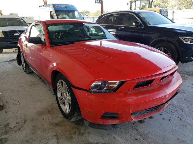 Photo 0 VIN: 1ZVBP8AM4C5238507 - FORD MUSTANG 