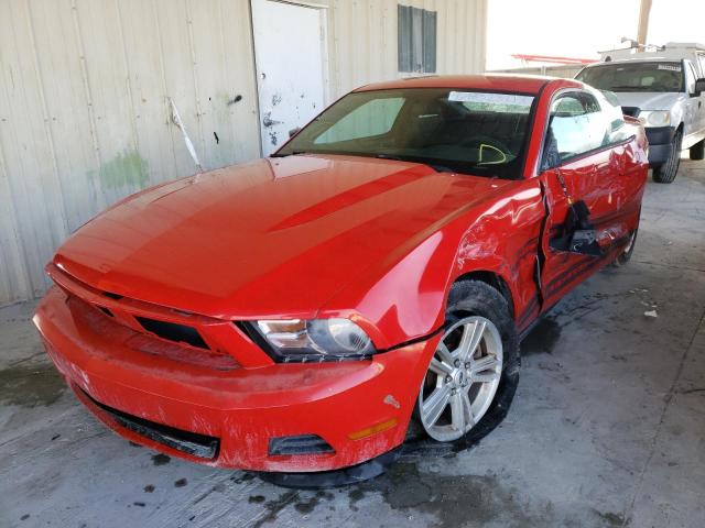 Photo 1 VIN: 1ZVBP8AM4C5238507 - FORD MUSTANG 