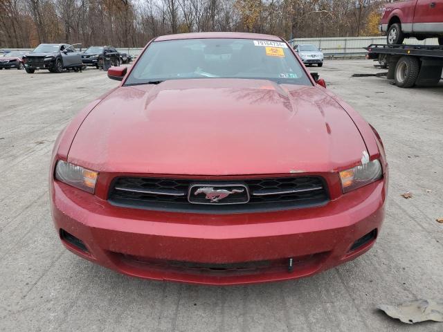 Photo 4 VIN: 1ZVBP8AM4C5255937 - FORD MUSTANG 