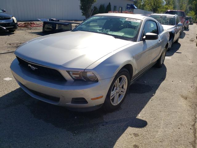 Photo 1 VIN: 1ZVBP8AM4C5261401 - FORD MUSTANG 