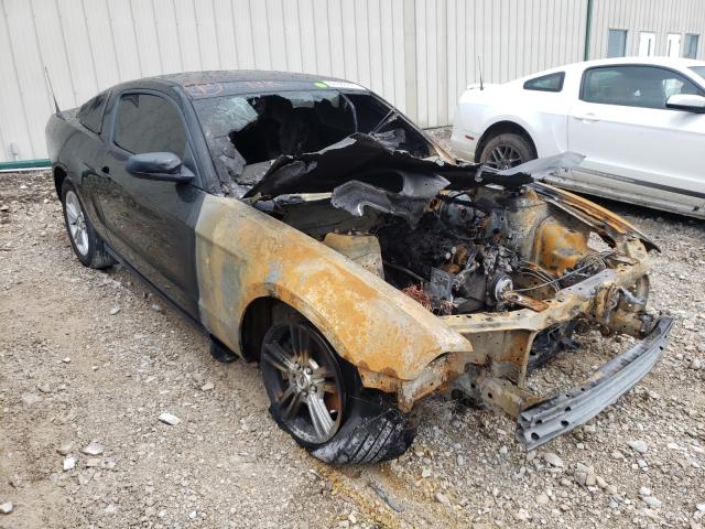 Photo 0 VIN: 1ZVBP8AM4C5268378 - FORD MUSTANG 