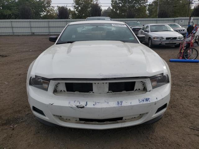 Photo 4 VIN: 1ZVBP8AM4C5268445 - FORD MUSTANG 