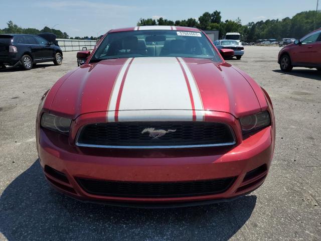 Photo 4 VIN: 1ZVBP8AM4D5204570 - FORD MUSTANG 