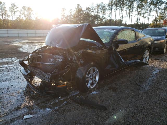 Photo 1 VIN: 1ZVBP8AM4D5230988 - FORD MUSTANG 