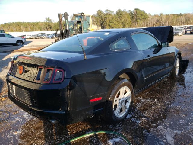 Photo 3 VIN: 1ZVBP8AM4D5230988 - FORD MUSTANG 