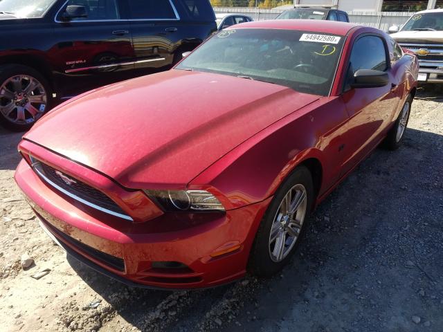 Photo 1 VIN: 1ZVBP8AM4D5244454 - FORD MUSTANG 