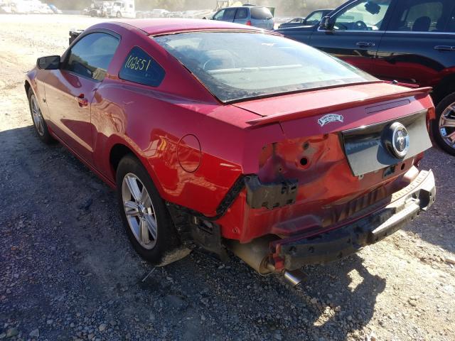 Photo 2 VIN: 1ZVBP8AM4D5244454 - FORD MUSTANG 