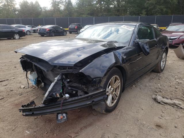 Photo 1 VIN: 1ZVBP8AM4D5252344 - FORD MUSTANG 