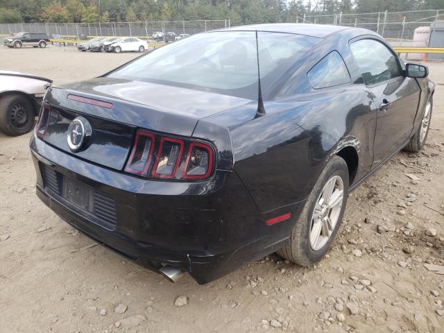 Photo 3 VIN: 1ZVBP8AM4D5252344 - FORD MUSTANG 