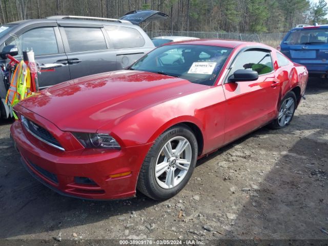 Photo 1 VIN: 1ZVBP8AM4D5270598 - FORD MUSTANG 