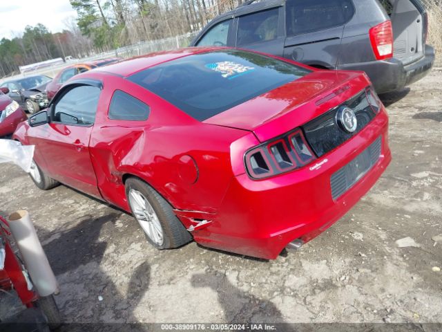 Photo 2 VIN: 1ZVBP8AM4D5270598 - FORD MUSTANG 