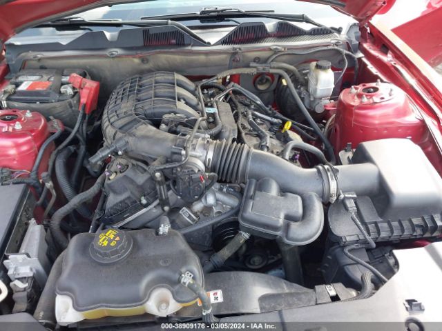 Photo 9 VIN: 1ZVBP8AM4D5270598 - FORD MUSTANG 