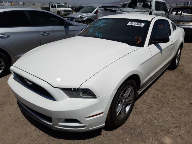 Photo 1 VIN: 1ZVBP8AM4D5282539 - FORD MUSTANG 