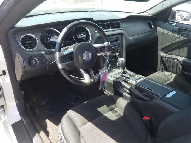 Photo 8 VIN: 1ZVBP8AM4D5282539 - FORD MUSTANG 