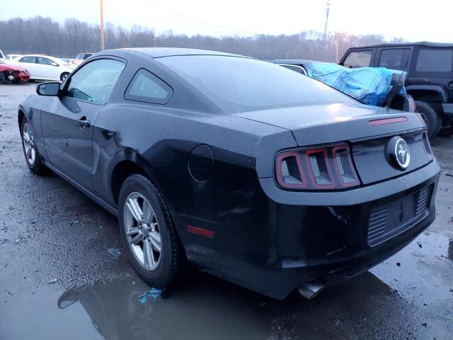 Photo 1 VIN: 1ZVBP8AM4E5203159 - FORD MUSTANG 