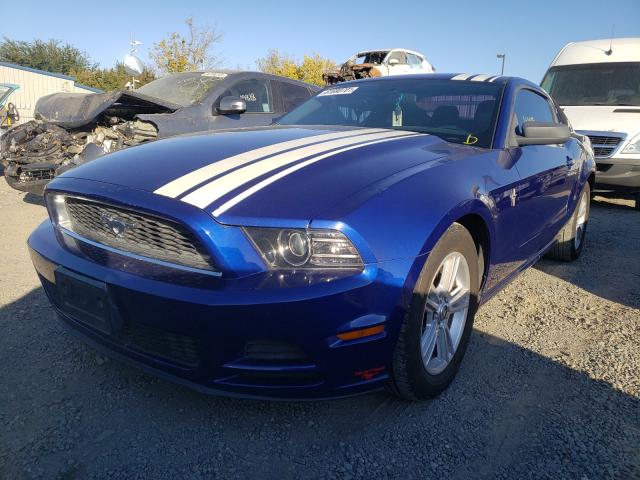 Photo 1 VIN: 1ZVBP8AM4E5215425 - FORD MUSTANG 