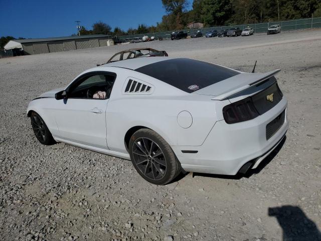 Photo 1 VIN: 1ZVBP8AM4E5221242 - FORD MUSTANG 