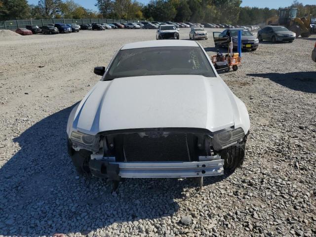 Photo 4 VIN: 1ZVBP8AM4E5221242 - FORD MUSTANG 