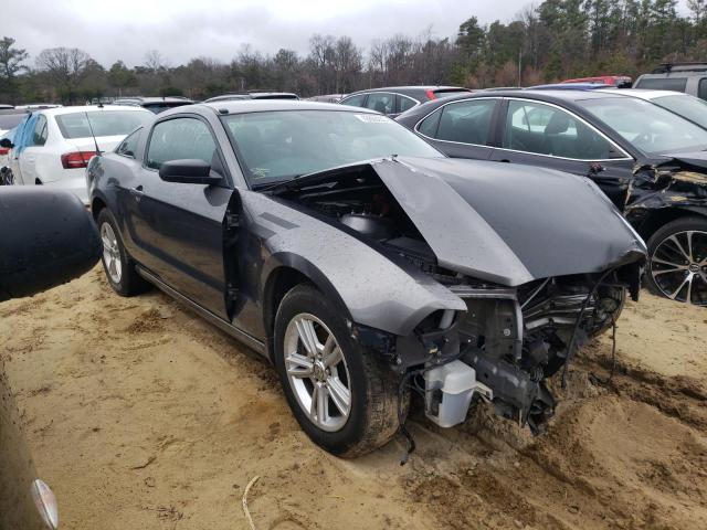 Photo 3 VIN: 1ZVBP8AM4E5231074 - FORD MUSTANG 