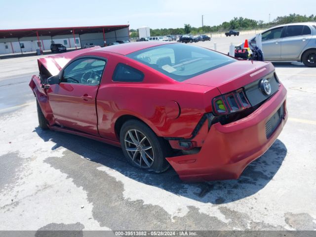 Photo 2 VIN: 1ZVBP8AM4E5251079 - FORD MUSTANG 