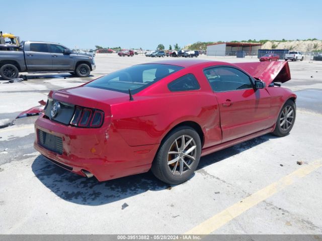 Photo 3 VIN: 1ZVBP8AM4E5251079 - FORD MUSTANG 