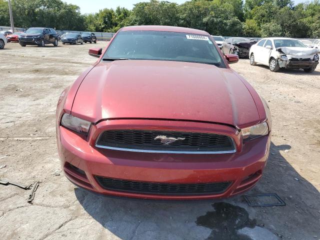 Photo 4 VIN: 1ZVBP8AM4E5252376 - FORD MUSTANG 