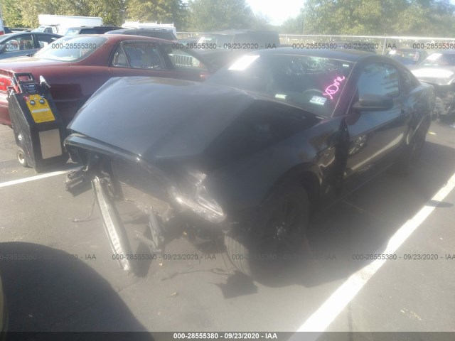 Photo 1 VIN: 1ZVBP8AM4E5282154 - FORD MUSTANG 