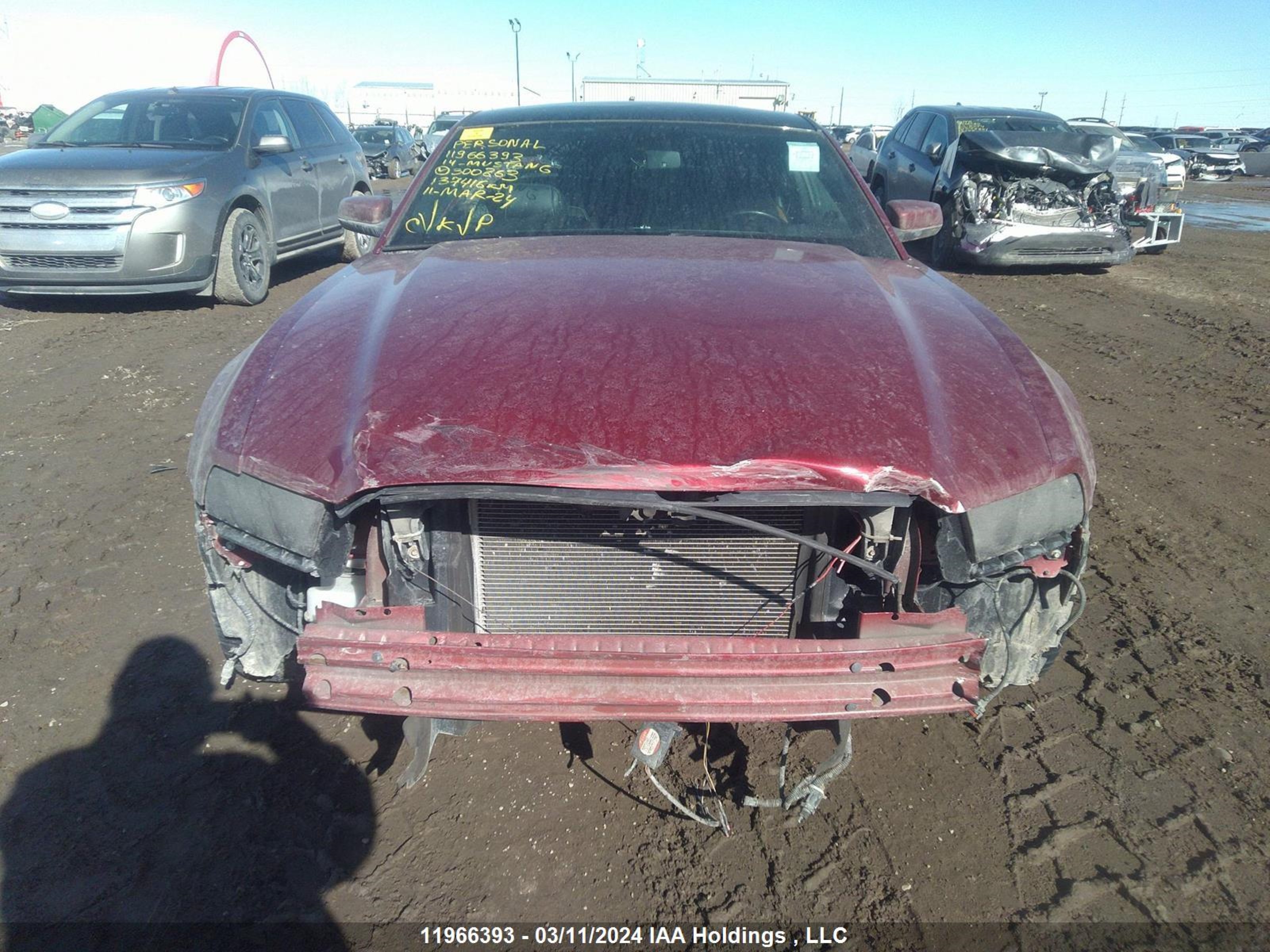 Photo 12 VIN: 1ZVBP8AM4E5300863 - FORD MUSTANG 