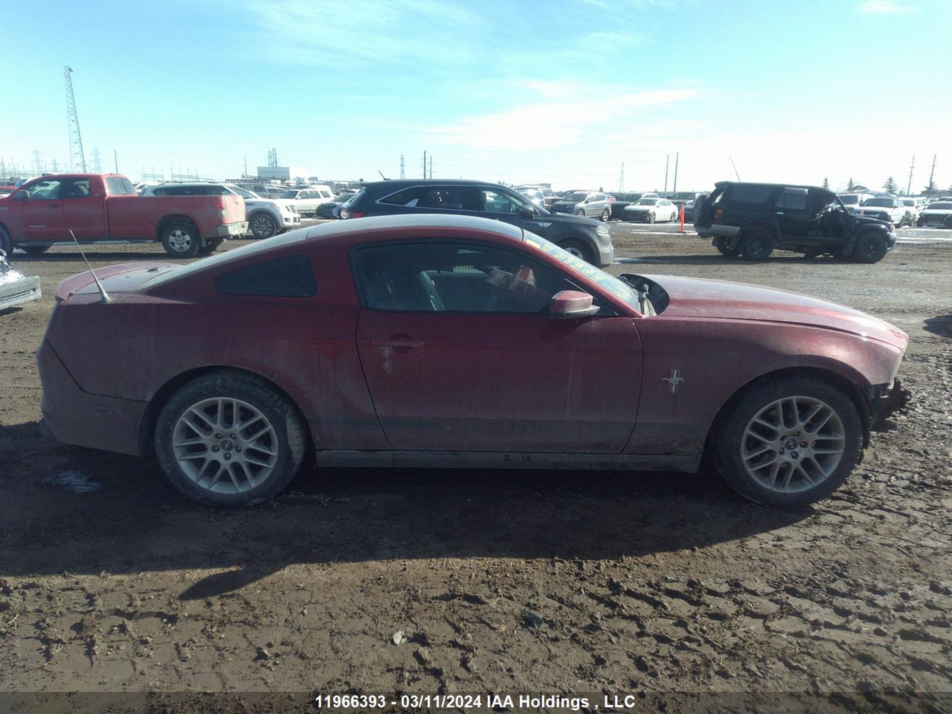 Photo 13 VIN: 1ZVBP8AM4E5300863 - FORD MUSTANG 