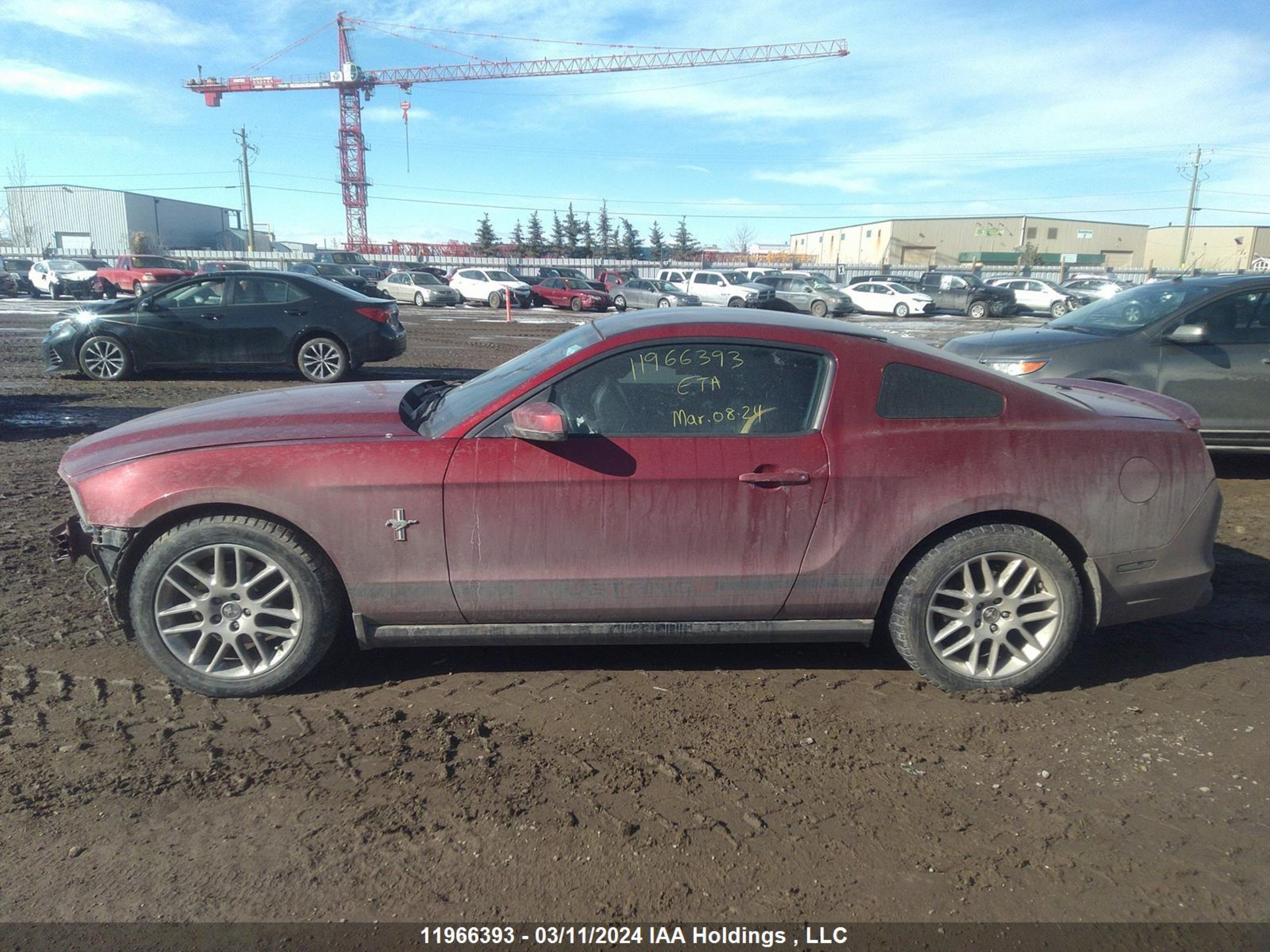 Photo 14 VIN: 1ZVBP8AM4E5300863 - FORD MUSTANG 