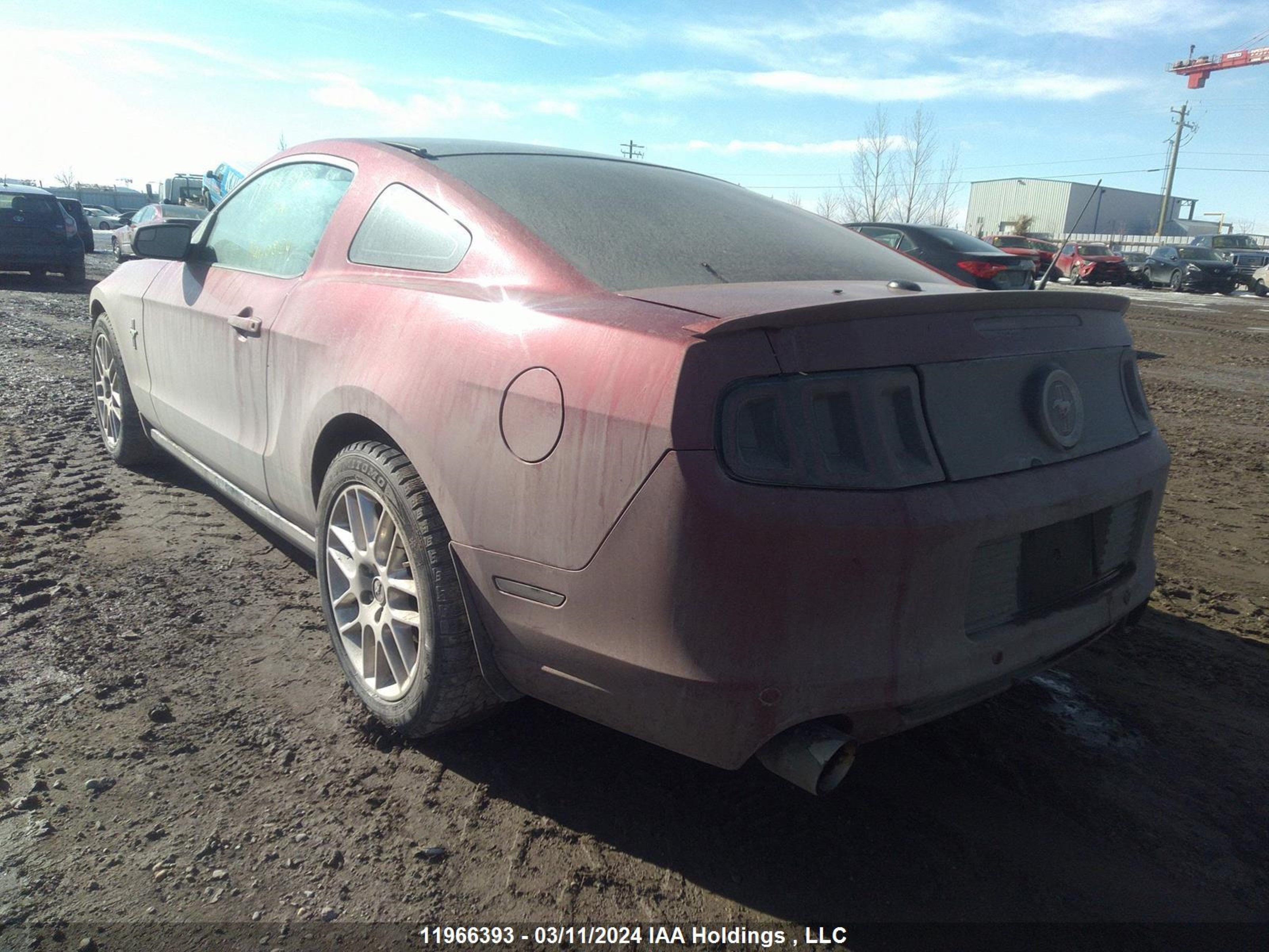 Photo 2 VIN: 1ZVBP8AM4E5300863 - FORD MUSTANG 