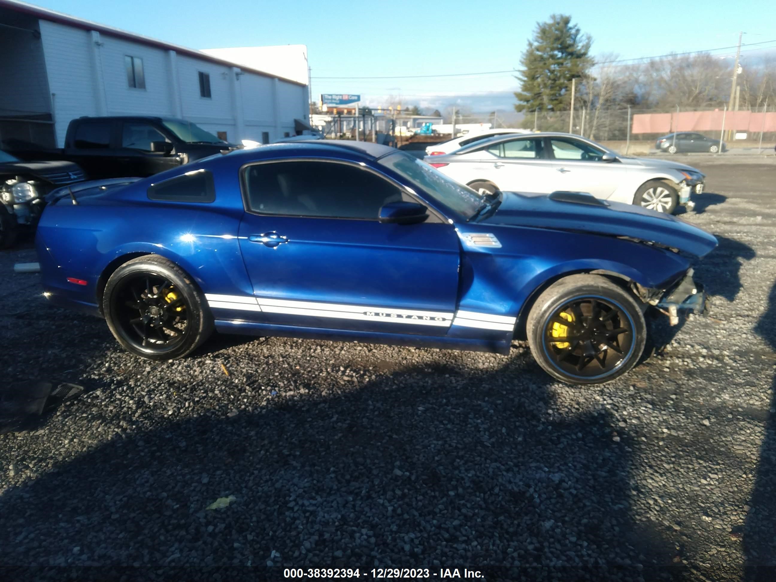 Photo 12 VIN: 1ZVBP8AM4E5301138 - FORD MUSTANG 