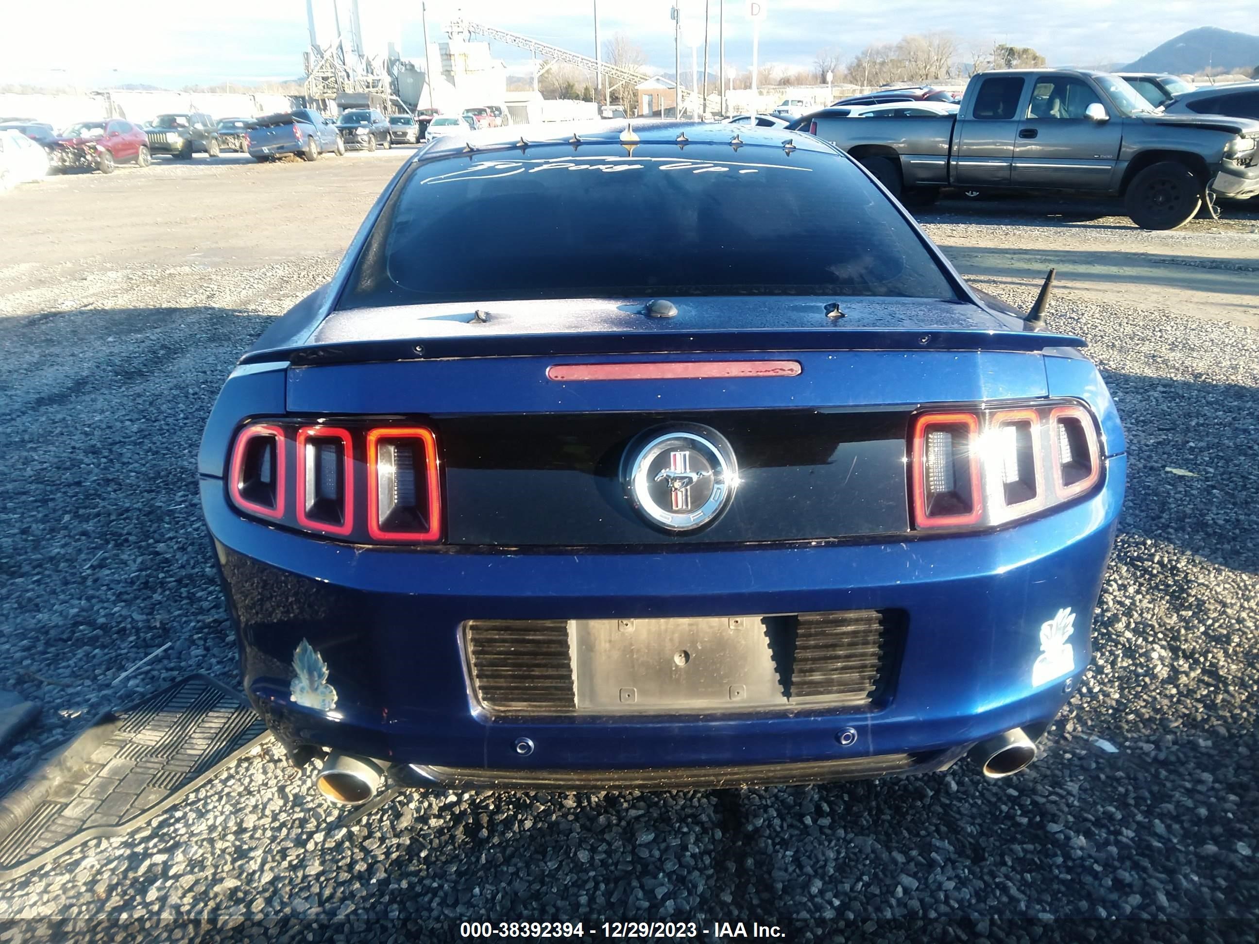 Photo 15 VIN: 1ZVBP8AM4E5301138 - FORD MUSTANG 