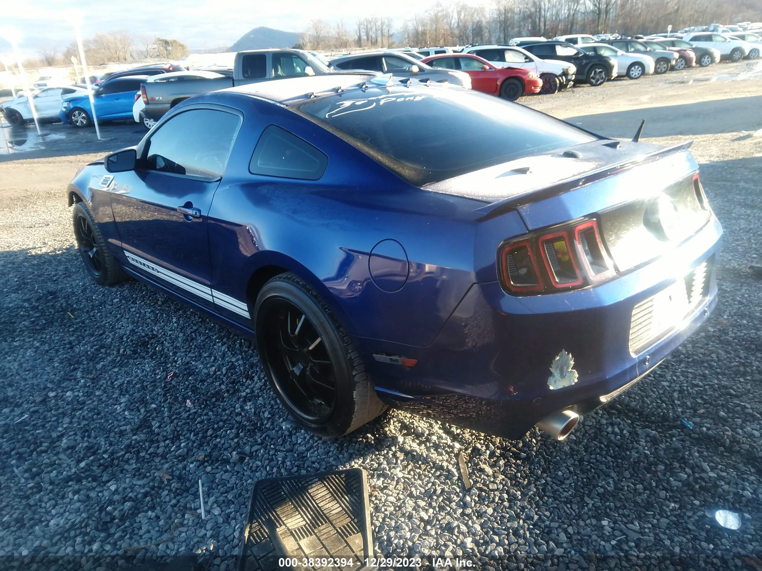 Photo 2 VIN: 1ZVBP8AM4E5301138 - FORD MUSTANG 