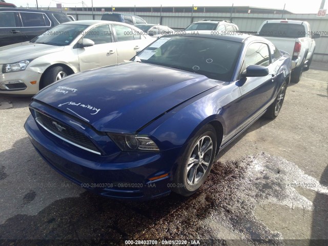 Photo 1 VIN: 1ZVBP8AM4E5303956 - FORD MUSTANG 