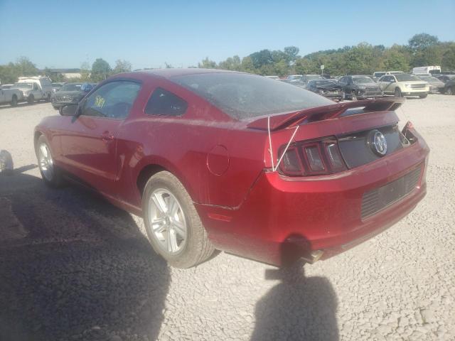 Photo 2 VIN: 1ZVBP8AM4E5315461 - FORD MUSTANG 