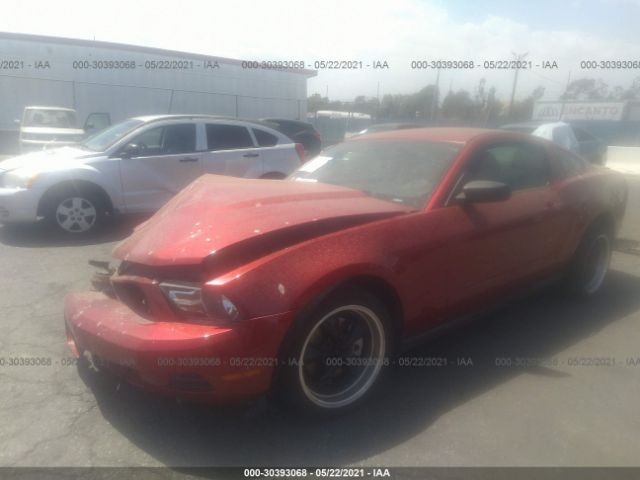 Photo 1 VIN: 1ZVBP8AM5B5169387 - FORD MUSTANG 