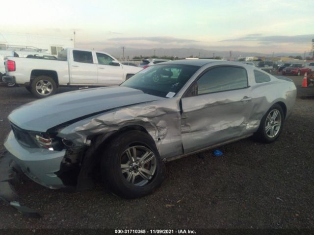 Photo 1 VIN: 1ZVBP8AM5C5226236 - FORD MUSTANG 