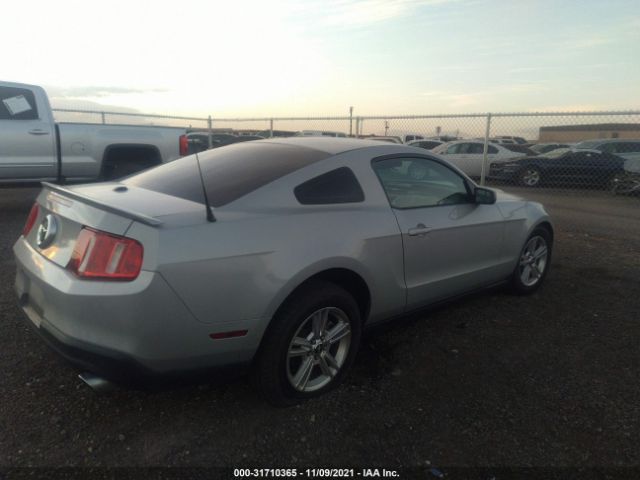 Photo 3 VIN: 1ZVBP8AM5C5226236 - FORD MUSTANG 