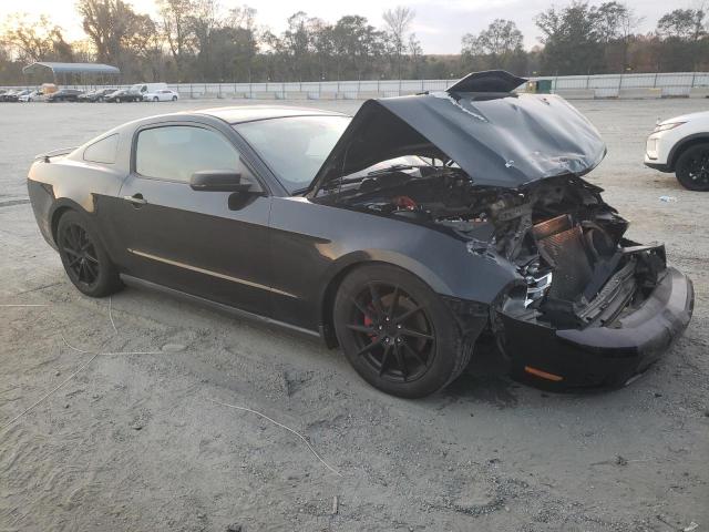 Photo 3 VIN: 1ZVBP8AM5C5241464 - FORD MUSTANG 