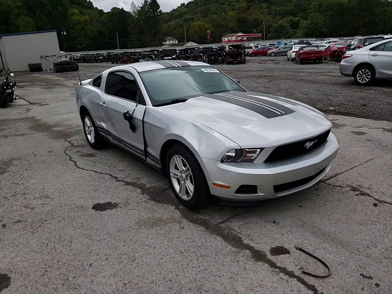 Photo 10 VIN: 1ZVBP8AM5C5242923 - FORD MUSTANG 