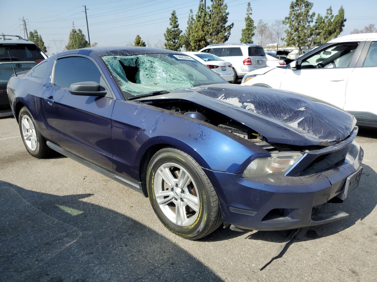 Photo 3 VIN: 1ZVBP8AM5C5245806 - FORD MUSTANG 